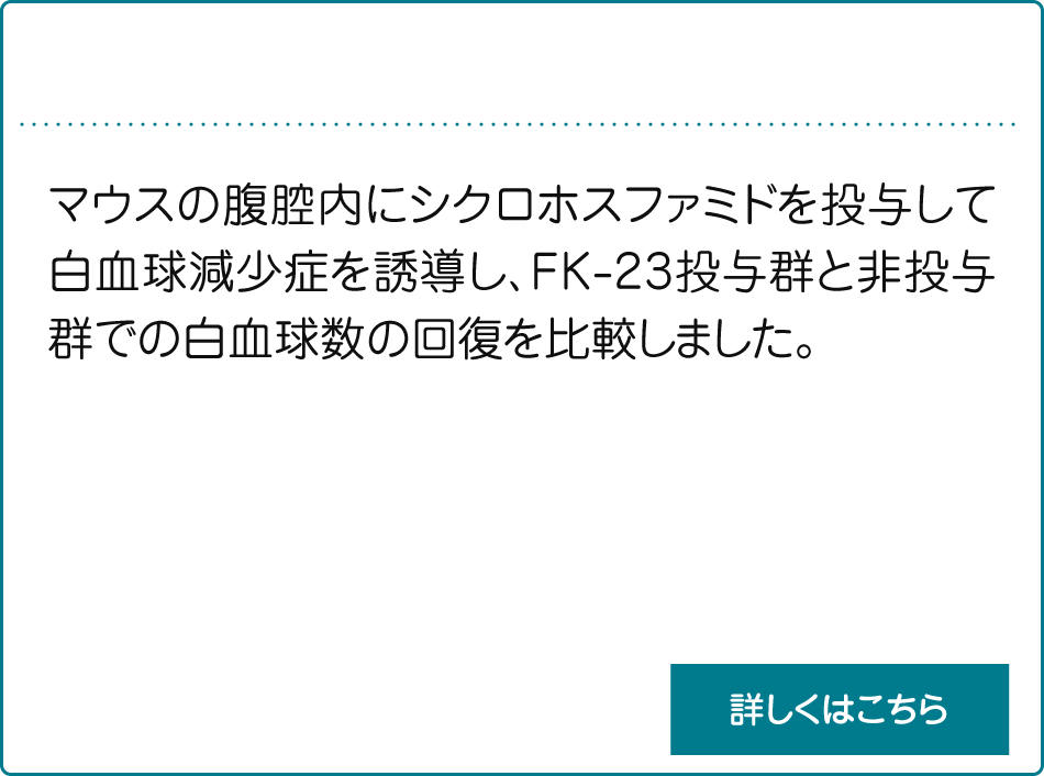 白血球減少治療剤_説明　マウスの腹腔内にシクロホスファミドを投与して白血球減少症を誘導し、FK-23投与群と非投与群での白血球数の回復を比較しました。
