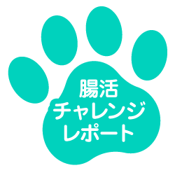 腸活チャレンジレポート