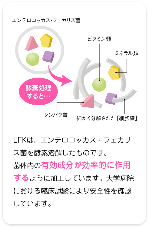LFKってどんな乳酸菌？